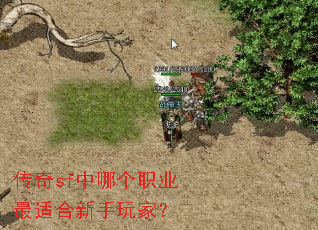 ����sf���ĸ�ְҵ���ʺ�������ң�