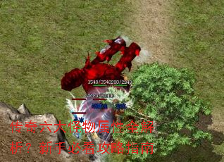 ���������������ȫ���������ֱؿ�����ָ��