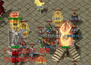 �򲻹���ʦ��������Ĳ��������⡣