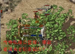 ����˽����������Ŀ����ʺ�����һع飿