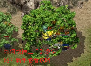 ��ο��������������أ����ֱؿ�����