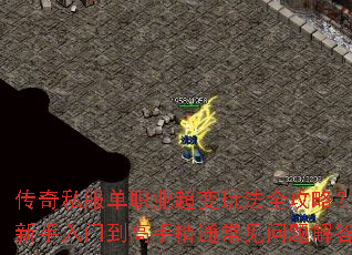 ����˽����ְҵ�����淨ȫ���ԣ����������ŵ����־�ͨ����������