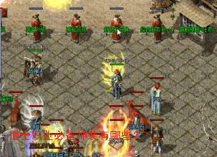 ��ʿְҵ�ر���װ����Щ��