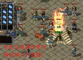 ������������������ƽ��������⣿