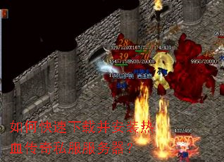 ��ο������ز���װ��Ѫ����˽����������