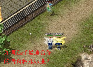 ���ѡ�����ʺ���Ĵ���˽��ְҵ��