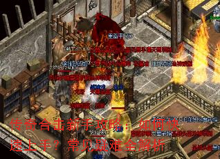 ����ϻ����ֹ��ԣ���ο������֣���������ȫ����