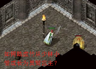 ��������������Сɮ�ɳ�Ϊ���չ�����