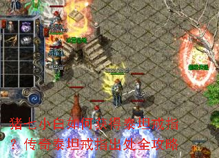 ����С����λ��̩̹��ָ������̩̹��ָ����ȫ����