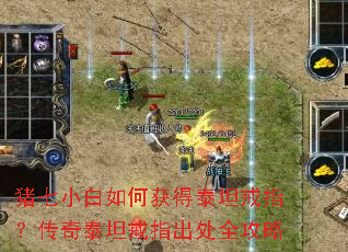 ����С����λ��̩̹��ָ������̩̹��ָ����ȫ����