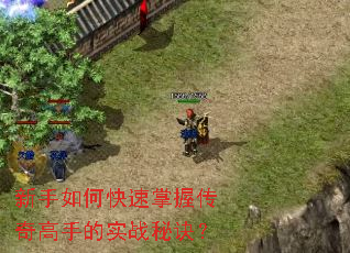 ������ο������մ�����ֵ�ʵս�ؾ���