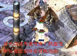 ����ٵ����״��棿��Ѫ����˽�������ռ�����ָ��