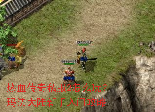 ��Ѫ����˽��2��ô�棿�귨��½�������Ź���