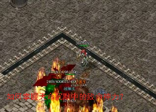 �������������Ĭ�е�����������