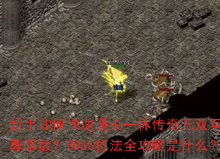 ������ο���ͨ��һ�ݴ�����˫������������棿BOSS��ȫ������ʲô��