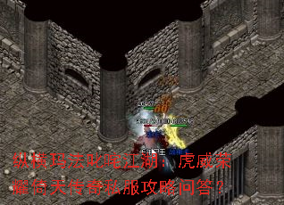 纵横玛法叱咤江湖:虎威荣耀倚天传奇私服攻略问答? 纵横玛法叱咤江湖:虎威荣耀倚天传奇私服攻略问答?