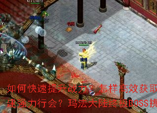 ��ο�������ս����������Ч��ȡװ��������齨ǿ���л᣿�귨��½�ռ�BOSS��ս���ԣ�