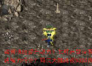 ��ο�������ս����������Ч��ȡװ��������齨ǿ���л᣿�귨��½�ռ�BOSS��ս���ԣ�