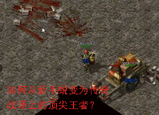 ��δ������ɱ�Ϊ����ս���ϵĶ������ߣ�