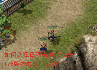 ���ѡ�����ʺϸ��Ŵ���176�汾���������ף�