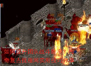 ��������Ŷ�ս��ʤ�ʣ����渴���ҷ���ʵ�ü��ɷ���