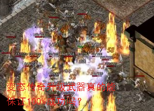 ��̬����������������ܱ�֤100%�ɹ���