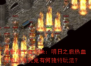 ��������߹���������֮����Ѫ����˽�������кζ����淨��