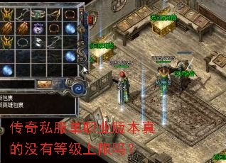 ����˽����ְҵ�汾���û�еȼ�������