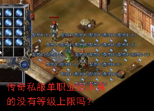 ����˽����ְҵ�汾���û�еȼ�������