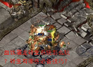 Ѫ������ת��ϵͳ��ô�棿ת������Щ�ر����ɣ�