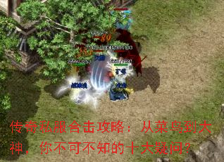 ����˽���ϻ����ԣ��Ӳ��񵽴����㲻�ɲ�֪��ʮ�����ʣ�