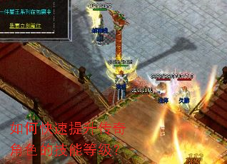 ��ο������������ɫ�ļ��ܵȼ���