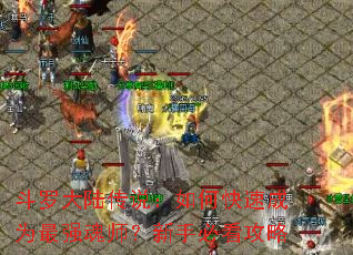 ���޴�½��˵����ο��ٳ�Ϊ��ǿ��ʦ�����ֱؿ�����