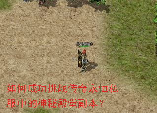 ��γɹ���ս��������˽���е����ص��ø�����