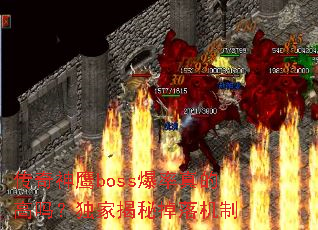 ������ӥboss������ĸ��𣿶��ҽ��ص������