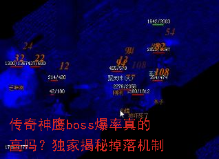 ������ӥboss������ĸ��𣿶��ҽ��ص������