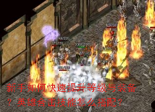 ������ο��������ȼ���װ����Ӣ�ۺϻ�������ô���䣿