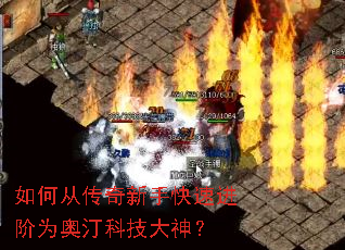 ��δӴ������ֿ��ٽ���Ϊ��͡�Ƽ�����