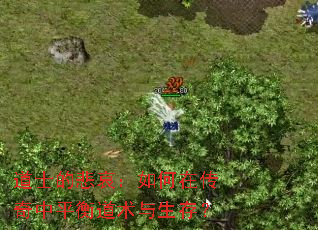 ��ʿ�ı���������ڴ�����ƽ����������棿