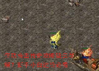 �����ϻ����湥�����ƾ��⣿����С�׽��ױؿ�