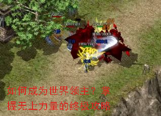 如何成为世界领主?掌握无上力量的终极攻略 如何成为世界领主?掌握无上力量的终极攻略