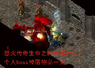 ŭ��������֮������ʲô������boss������Ʒһ��