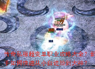 ����˽�����䵥ְҵ���Դ�ȫ��������ο��ٴ�С�׽��׵�����