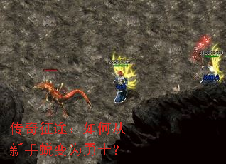 传奇征途:如何从新手蜕变为勇士? 传奇征途:如何从新手蜕变为勇士?