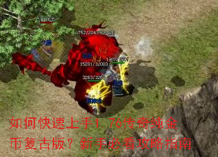 ��ο�������1.76���洿��Ҹ��Ű棿���ֱؿ�����ָ��
