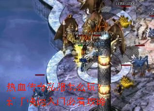 ��Ѫ����˽����ô�棿���ֿ������űؿ�����