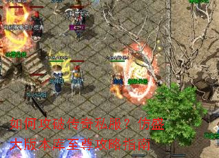 如何攻破传奇私服?仿盛大版本库至尊攻略指南 如何攻破传奇私服?仿盛大版本库至尊攻略指南