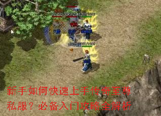 新手如何快速上手传奇至尊私服?必备入门攻略全解析 新手如何快速上手传奇至尊私服?必备入门攻略全解析