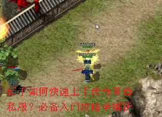 新手如何快速上手传奇至尊私服?必备入门攻略全解析 新手如何快速上手传奇至尊私服?必备入门攻略全解析