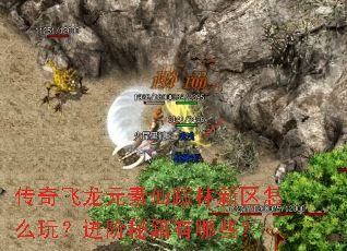 传奇飞龙元素仙踪林新区怎么玩?进阶秘籍有哪些? 传奇飞龙元素仙踪林新区怎么玩?进阶秘籍有哪些?